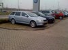 skoda blauw.jpg