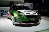 Skoda_Fabia_WRC-6.jpg