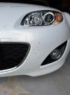 20230514_Roadkill.jpg 20230514_Roadkill.jpg