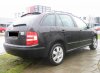fabia3.jpg