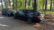 skoda met broertje.jpg