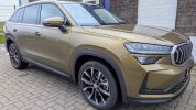 Kodiaq PHEV met MAK2_2000.jpg