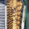 ltroep in radiator.jpg