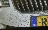 IMG_0796.jpeg