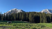 IMG_1880.jpeg