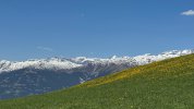 IMG_1893.jpeg