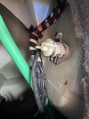 IMG_5025.jpeg