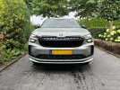 Kodiaq2.jpg
