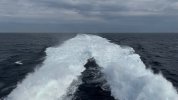 IMG_3813.jpeg