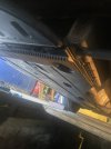IMG_0701.jpeg