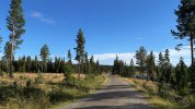 IMG_4852.jpeg