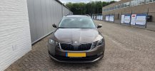 Skoda 05.jpg