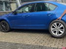 IMG_7919.jpeg