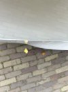 IMG_8578.jpeg