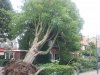 2011-06-29 14.11.31.jpg