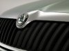 232012949132_Skoda-.jpg