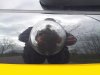 GroteFoto-74CHOPI6.jpg GroteFoto-74CHOPI6.jpg