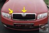 fabia_front_grille.jpg fabia_front_grille.jpg