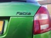 Fabia in black.jpg