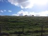 20120929_145334.jpg