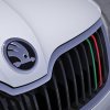 Skoda_Grill_strepen-500x500.jpg