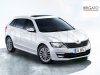 Skoda Fabia [1].jpg