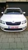 SKODA4.jpg