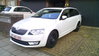 SKODA6.jpg
