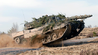 leopard2.png