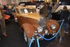DSC_0006.JPG DSC_0006.JPG