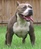 ImageUploadedByTapatalk1429811898.629228.jpg