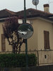 ImageUploadedByTapatalk1431290618.954022.jpg
