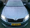 Voor laag.JPG