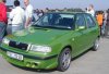 210-green felicia.jpg