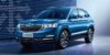 skoda-kamiq-blauw.jpg