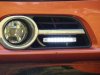 DSC02059.jpg