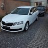 Niek's Skoda