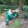Thijs1