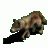 wolfrider
