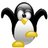 tpit