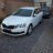 Niek's Skoda