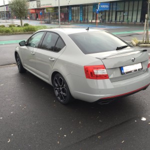 Octavia RS230 Steel Grey