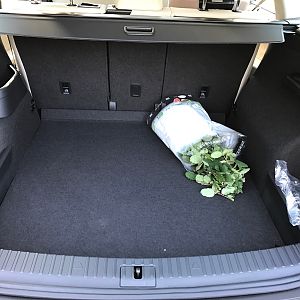 Skodiaq's Kodiaq