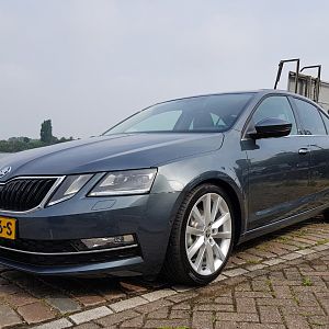 Octavia Style Business DSG