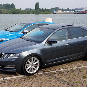 Octavia Style Business DSG - Eibach veren