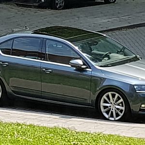 Octavia Style Business