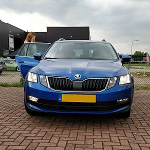 Octavia Combi 1.0 TSI Ambition Business DSG (2018) kleur Race Blue