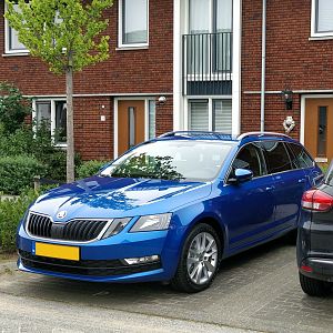 Octavia Combi 1.0 TSI Ambition Business DSG (2018) kleur Race Blue