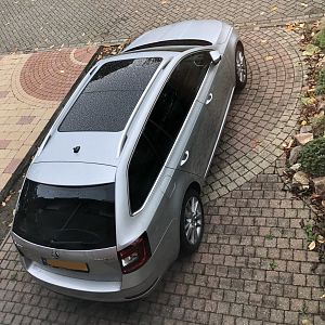 Octavia
