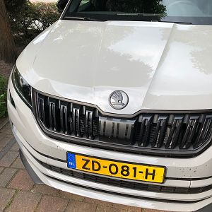 Logo in 2 kleuren